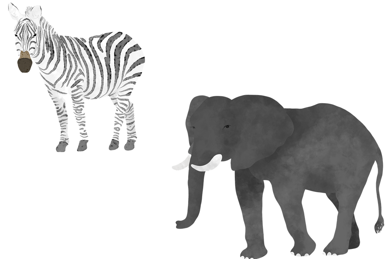 zebra, elefant, tierwelt, säugetier, kreatur, natur, tiere