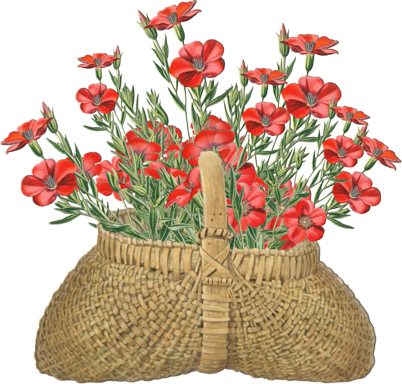 flowers, basket, floral, decorative, topper, texture, scrapbook, leaves, plant, bloom, nature