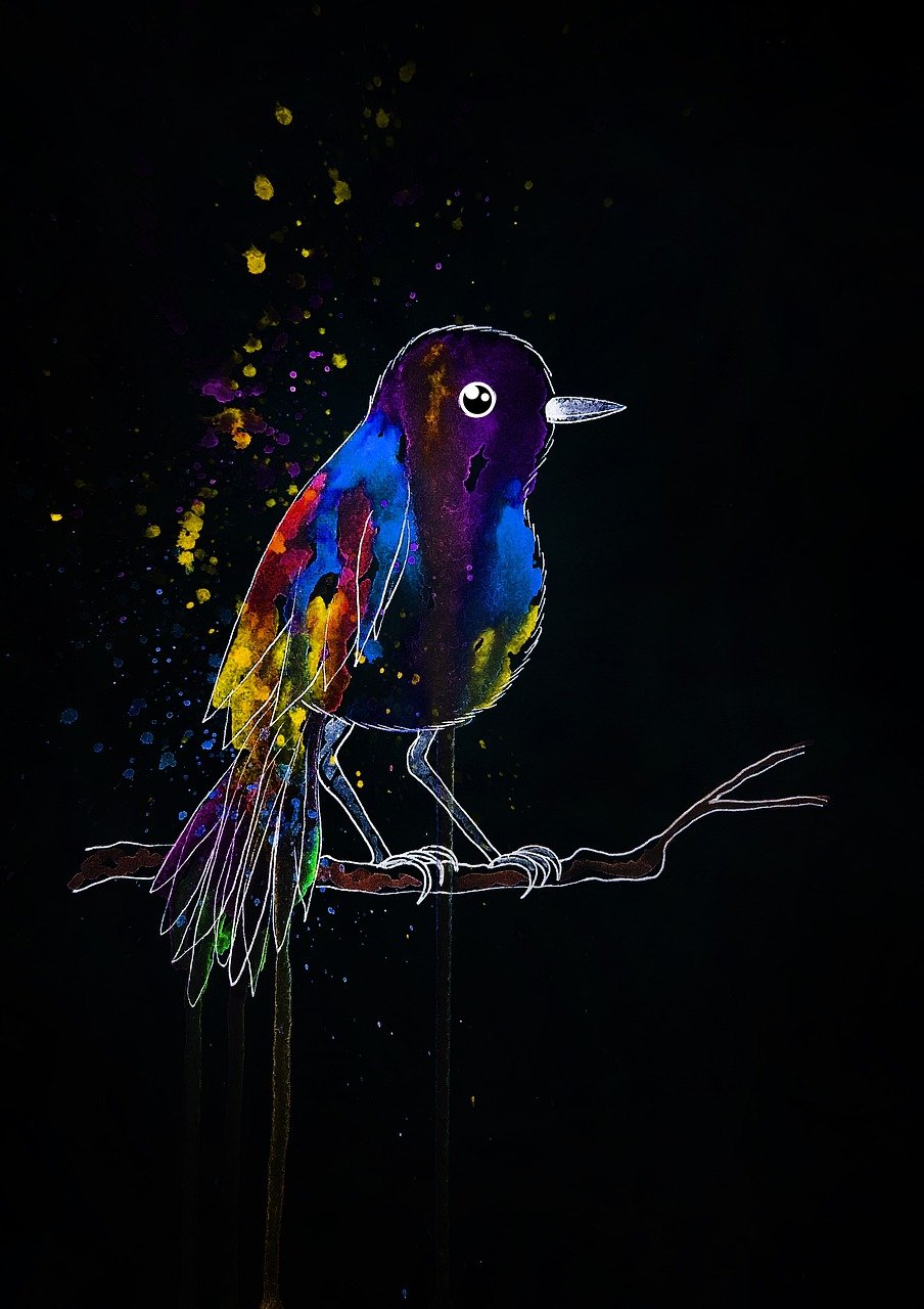 pájaro, ornitología, arte, obra de arte, creación, plumas, fauna, acuarela, bosquejo, fósforo, gorrión, naturaleza, pájaro pequeño, pájaros acuarela, pájaro acuarela, pinturas, multicolor, blobs, patrón tradicional, artista, neón, brillantes de la pintura, pinturas fluorescentes
