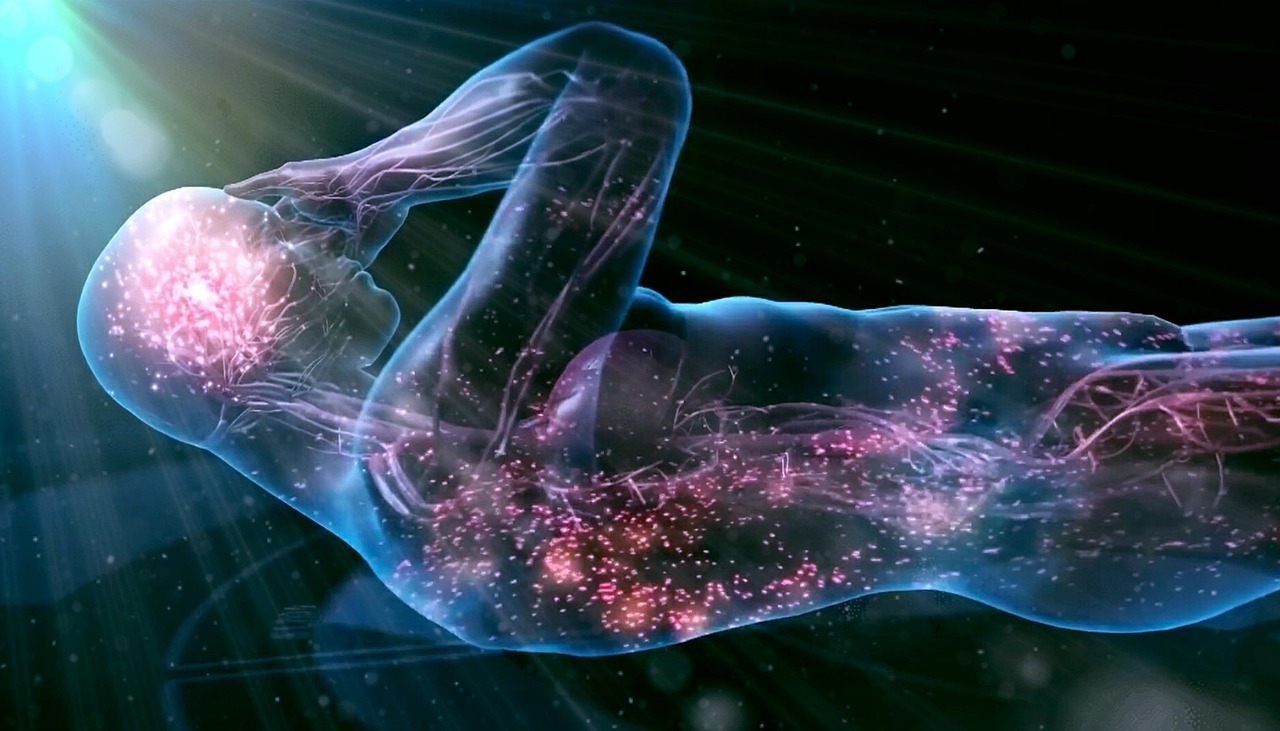 humanoid, human, brain, technology, data, mind, tech, sci fi, futuristic, man, sunrays, energy, enlightment, body, digital, abstract, network, future, software, rotation, pattern, connection, circuit, micro chip, android, brain, brain, brain, brain, brain, enlightment, enlightment