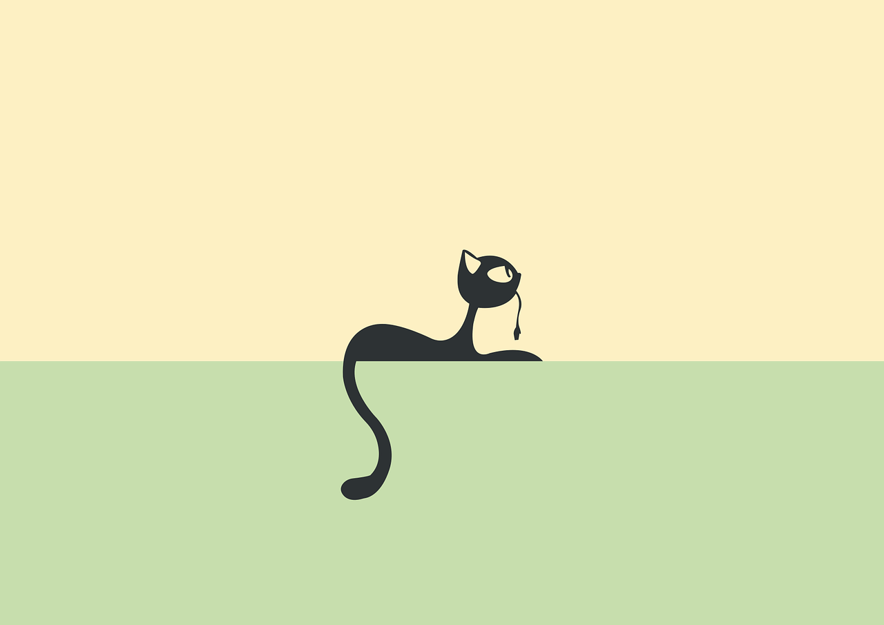 cat, animal, nature, scott, very little, pet, minimalism, art, modern, drawing