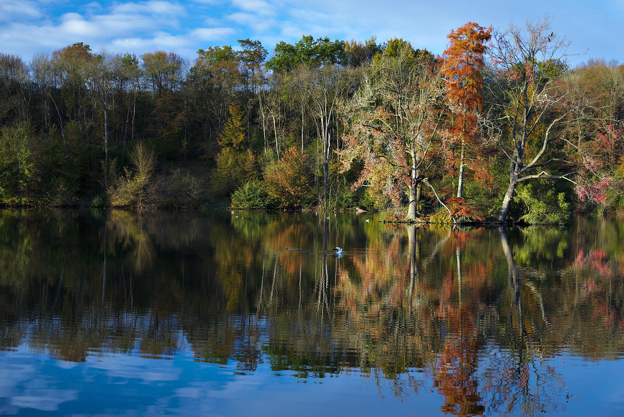 teich, windows wallpaper, naturtapete, natur, hintergrund, natur hintergrund, 4k-hintergrundbild 1920x1080, kostenlose tapete, coole hintergründe, landschaft, full-hd-hintergrundbild, desktop-hintergründe, baum, hd-hintergrund, kostenloser hintergrund, hintergrundbild in hd, wald, schöne tapete, laptop-hintergrundbild, wie, hintergrundbild 4k, mac-hintergrundbild, coye-la-forêt, schöne natur, teiche von commelles, 4k-hintergrundbild, frankreich, reisen