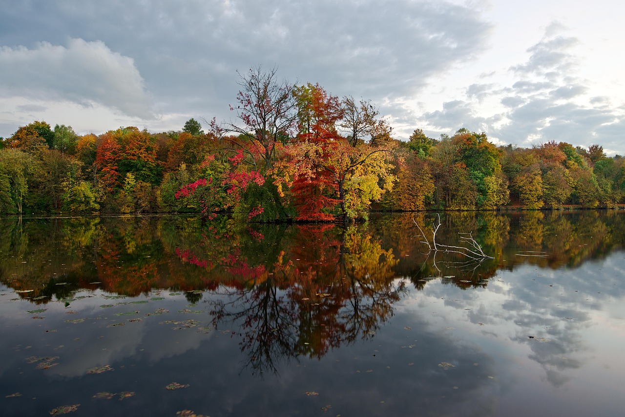 teich, natur, hintergrund, landschaft, baum, wald, hd-hintergrund, wie, coye-la-forêt, teiche von commelles, frankreich, reisen
