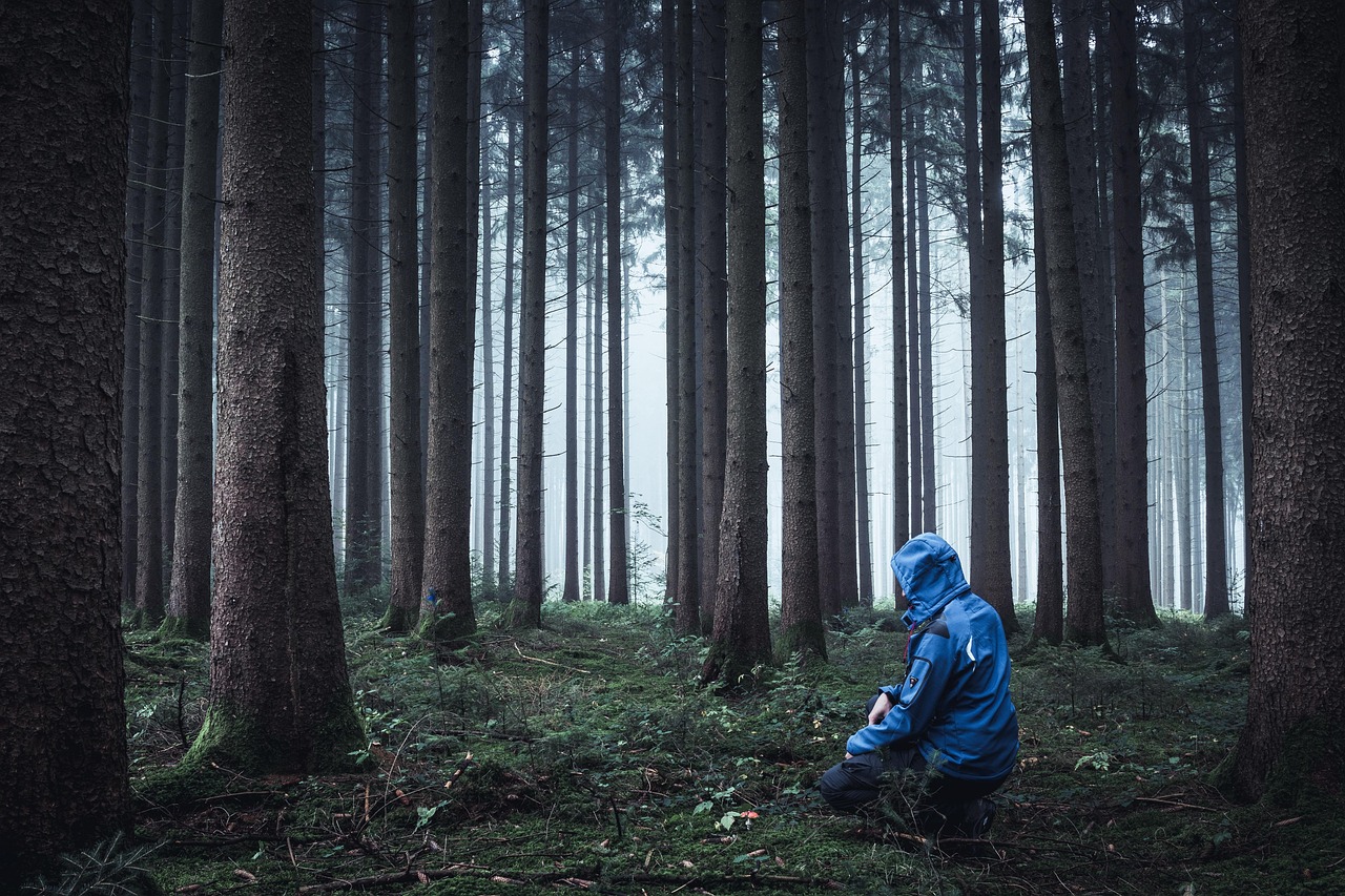 forêt, personne, bushcraft, extérieur, survie, région sauvage, nature, survie, survie, survie, survie, survie
