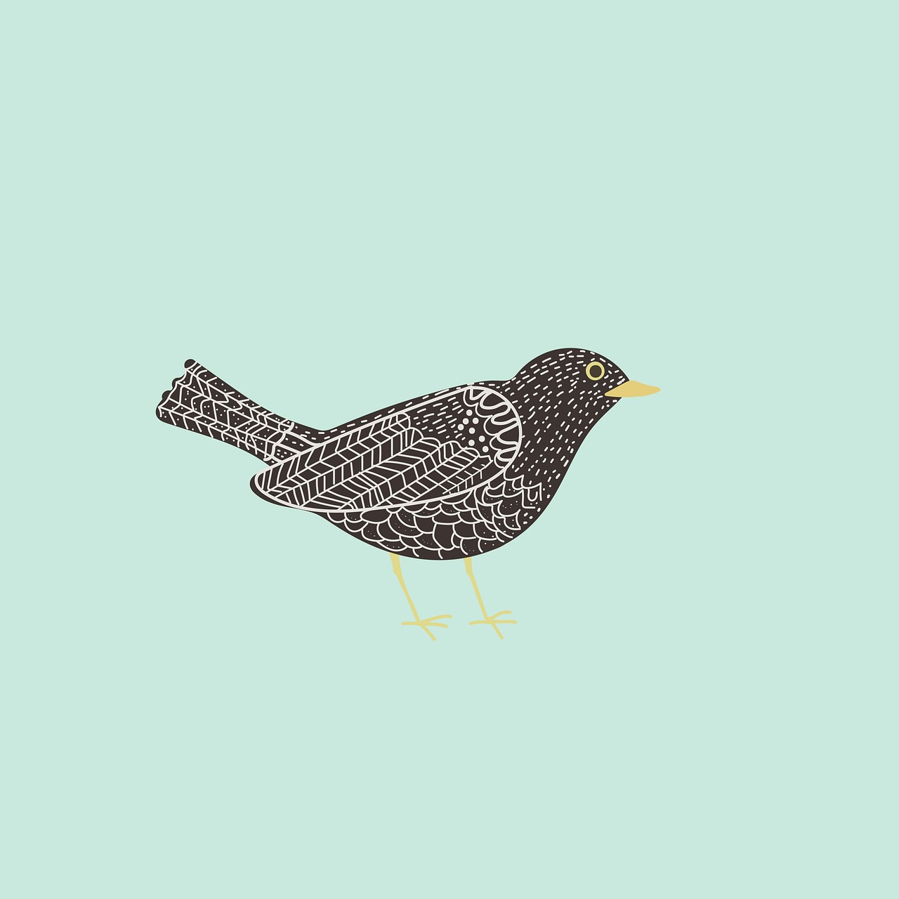 bird, blackbird, wings, feathers, animal, beak, drawing, background, design, nature, bird, bird, bird, bird, bird, background, nature