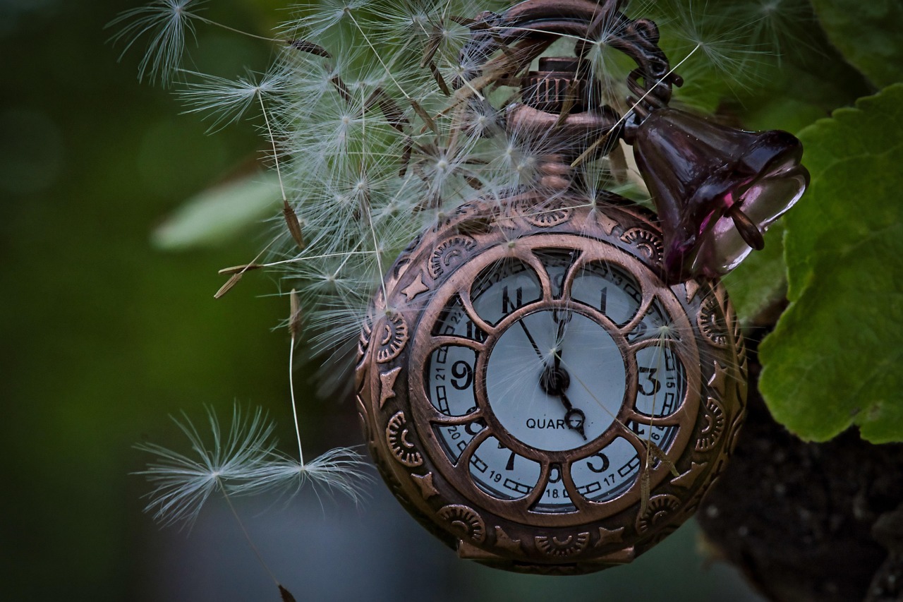 uhr, taschenuhr, zeit, nahaufnahme, zeitmesser, retro, alt, nostalgie, nostalgisch, pusteblume, samen, pusteblume, pusteblume, pusteblume, pusteblume, pusteblume