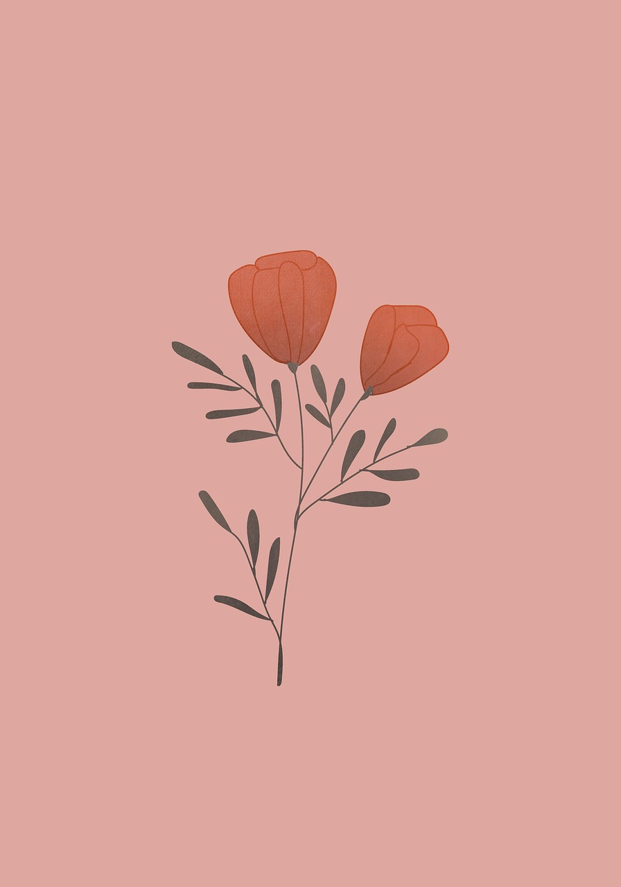 flowers, poppy, summer, nature, background, drawing, color, bouquet, floral background, bloom
