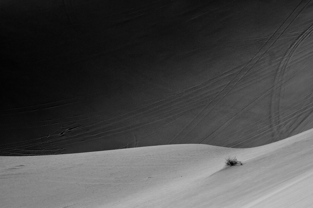 travel, minimal, nature, landscape, desert, grass, iran, kashan, shadow, contrast