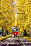 Metro fall yellow leaves history prague engine transportation tram