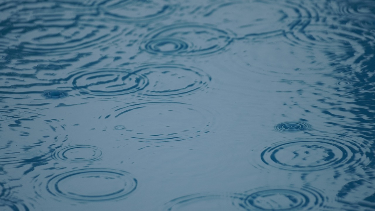 rain, 4k wallpaper, wallpaper 4k, cool backgrounds, puddle, mac wallpaper, laptop wallpaper, hd wallpaper, ripples, beautiful wallpaper, water, wallpaper hd, water surface, circles, raindrop, full hd wallpaper, drops, surface tension, free wallpaper, free background, desktop backgrounds, background, 4k wallpaper 1920x1080, windows wallpaper, nature