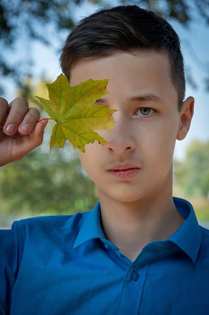 humain, teen, jeune, feuille d'érable, feuille, automne, le parc, portrait, personne