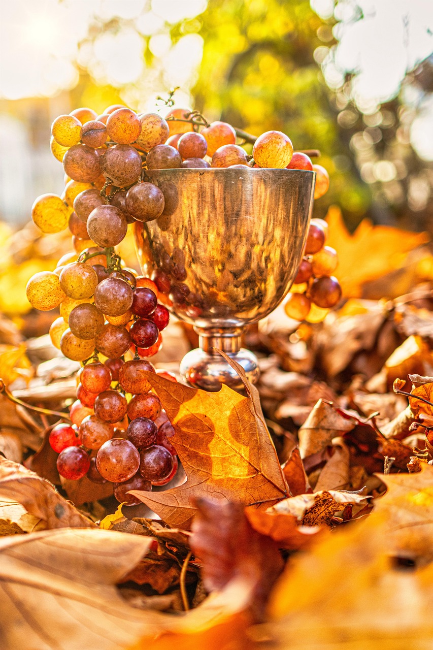 calice, uva, natura, autunno, fogliame, brunch, tazza, brillante, brown, d'oro