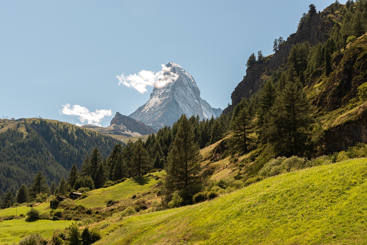 mountains, trees, pine forest, autumn, travel, white clouds, blue sky, nature, switzerland, trees, trees, trees, trees, trees, travel, travel
