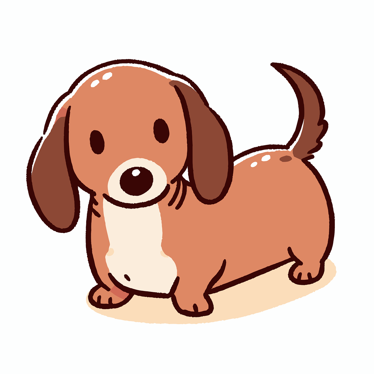 hond, teckel, huisdier, ras, dier, schattig, tekening
