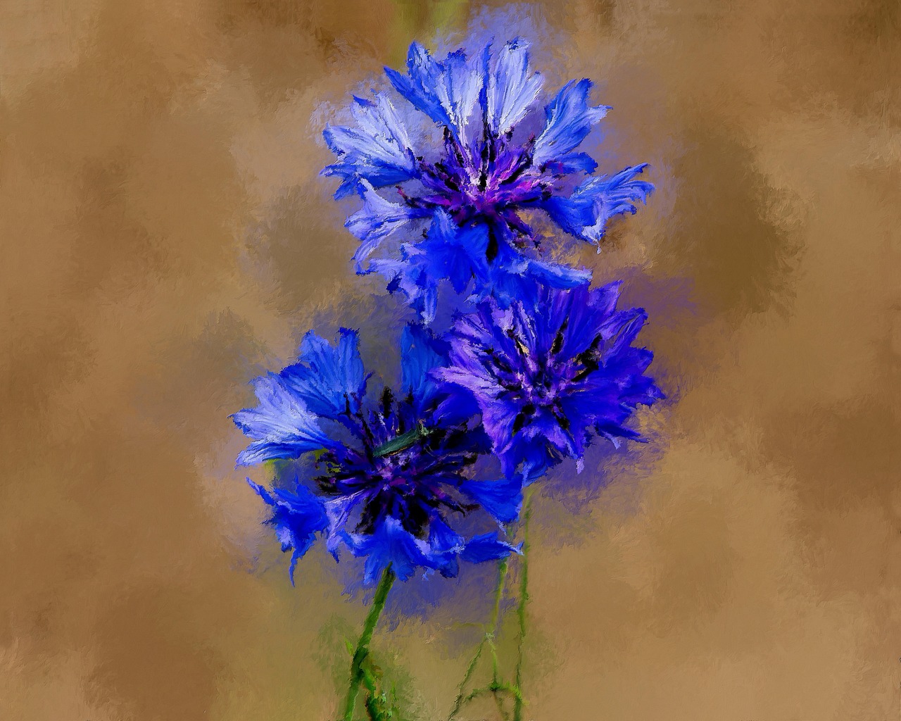 kornblumen, blau, blumen, natur, malen, kunstwerk, kornblumen, kornblumen, kornblumen, kornblumen, kornblumen, malen, kunstwerk, kunstwerk, kunstwerk, kunstwerk, kunstwerk