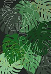 Monstera leaves plants summer background drawing nature botanical sheet simple minimalist