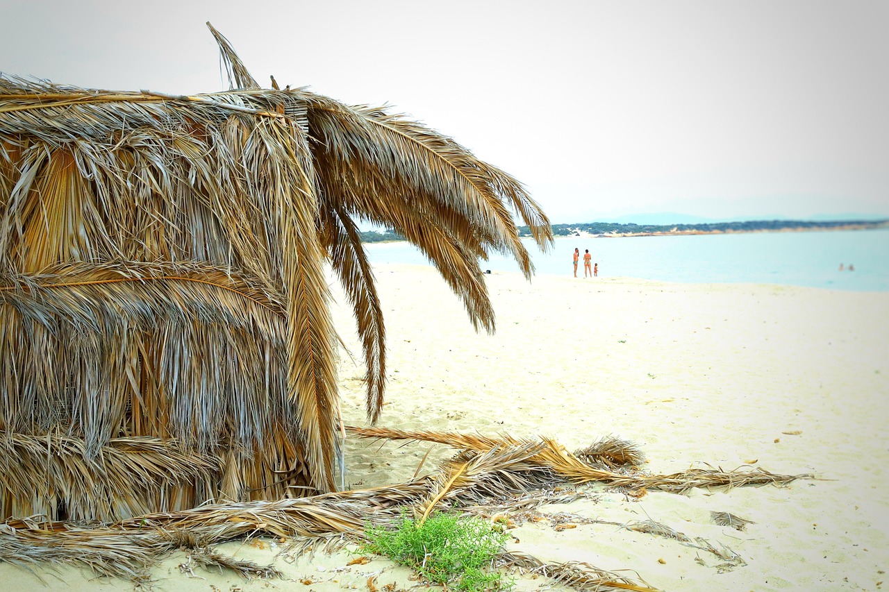 plaża, morze, chata na plaży, chatka palmowa, ochrona przed słońcem, grecja, cyklady, natura, naksos