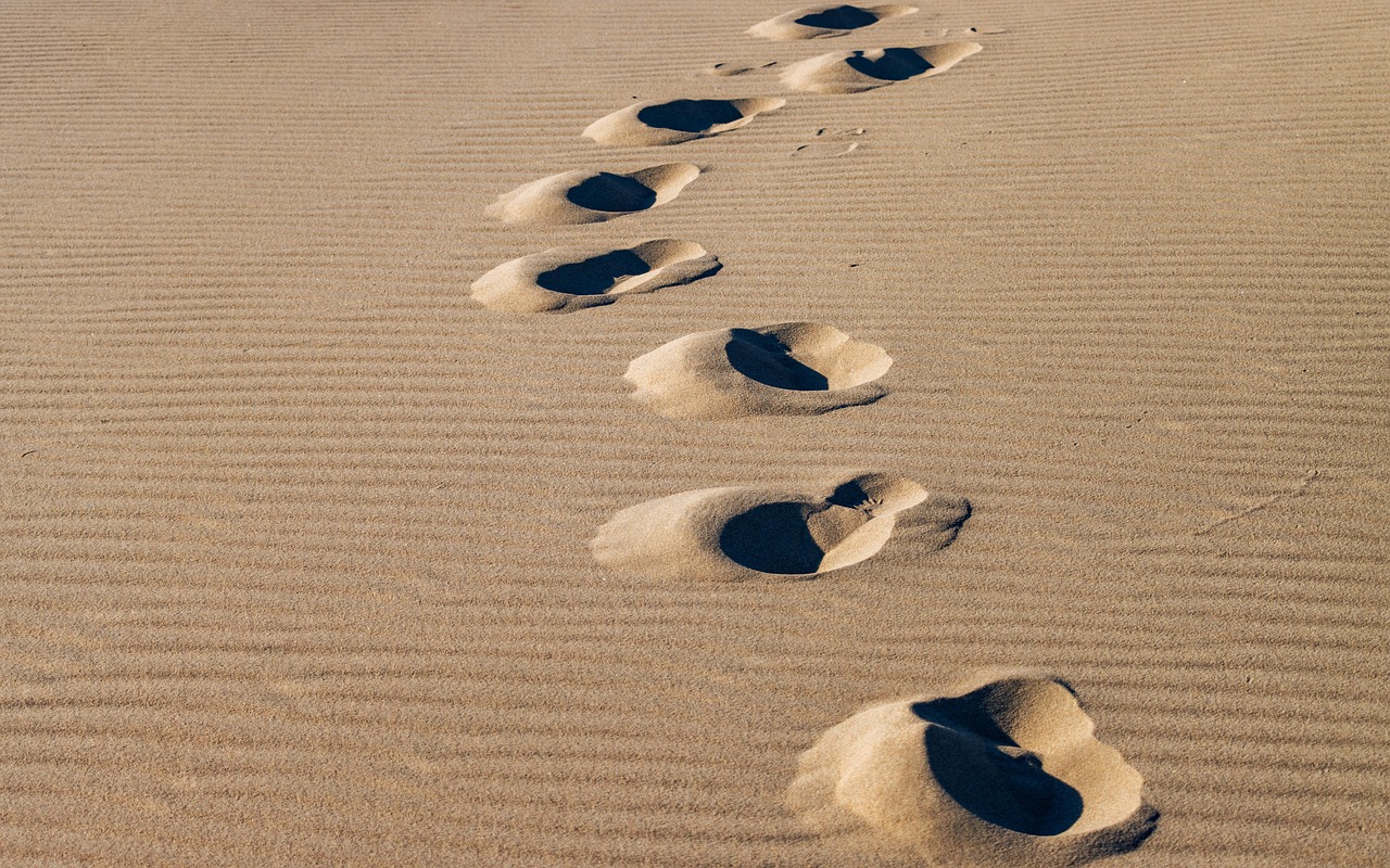 homok, dűnék, tájkép, természet, strand, tengerpart