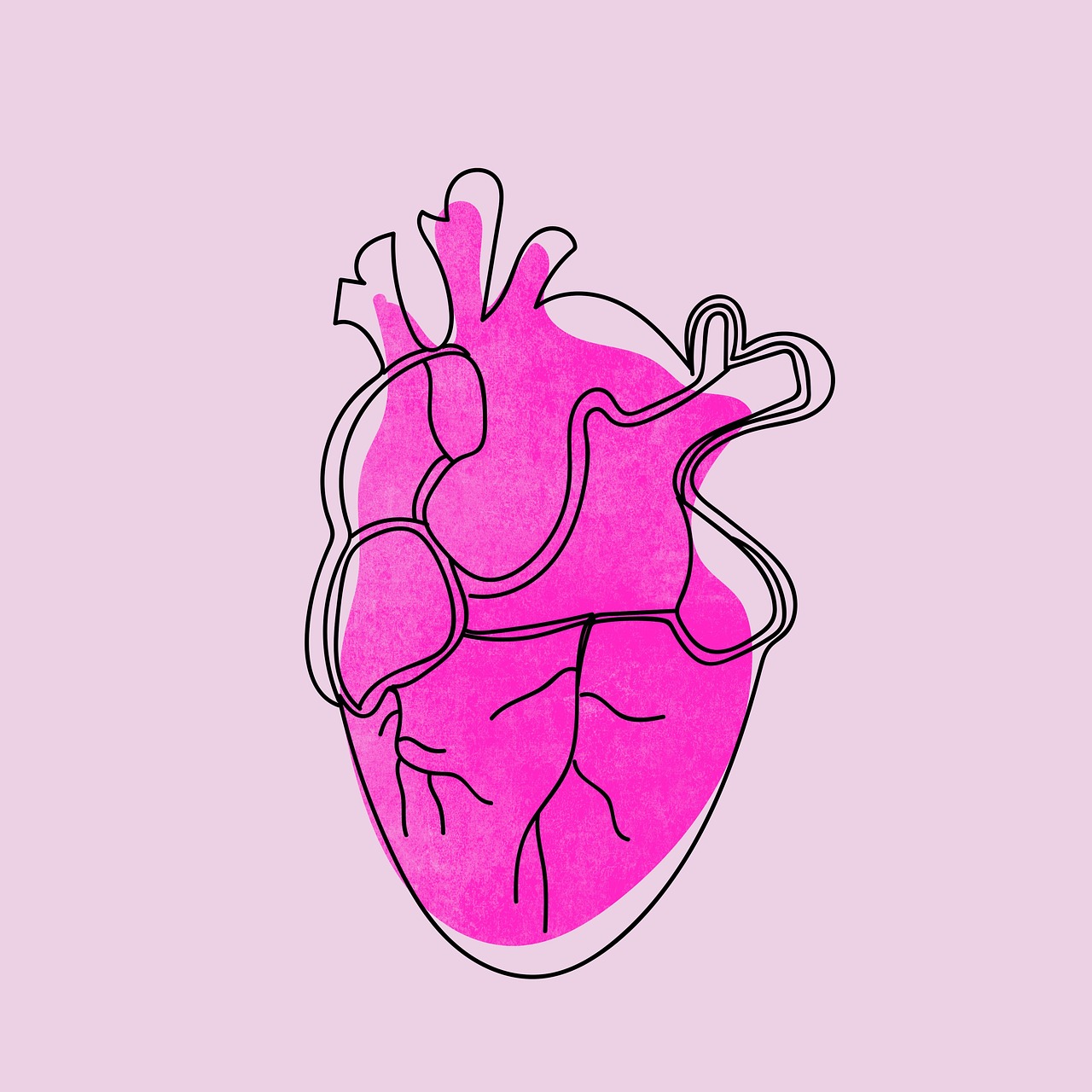 cœur, rose, dessin, contexte, vie, organe
