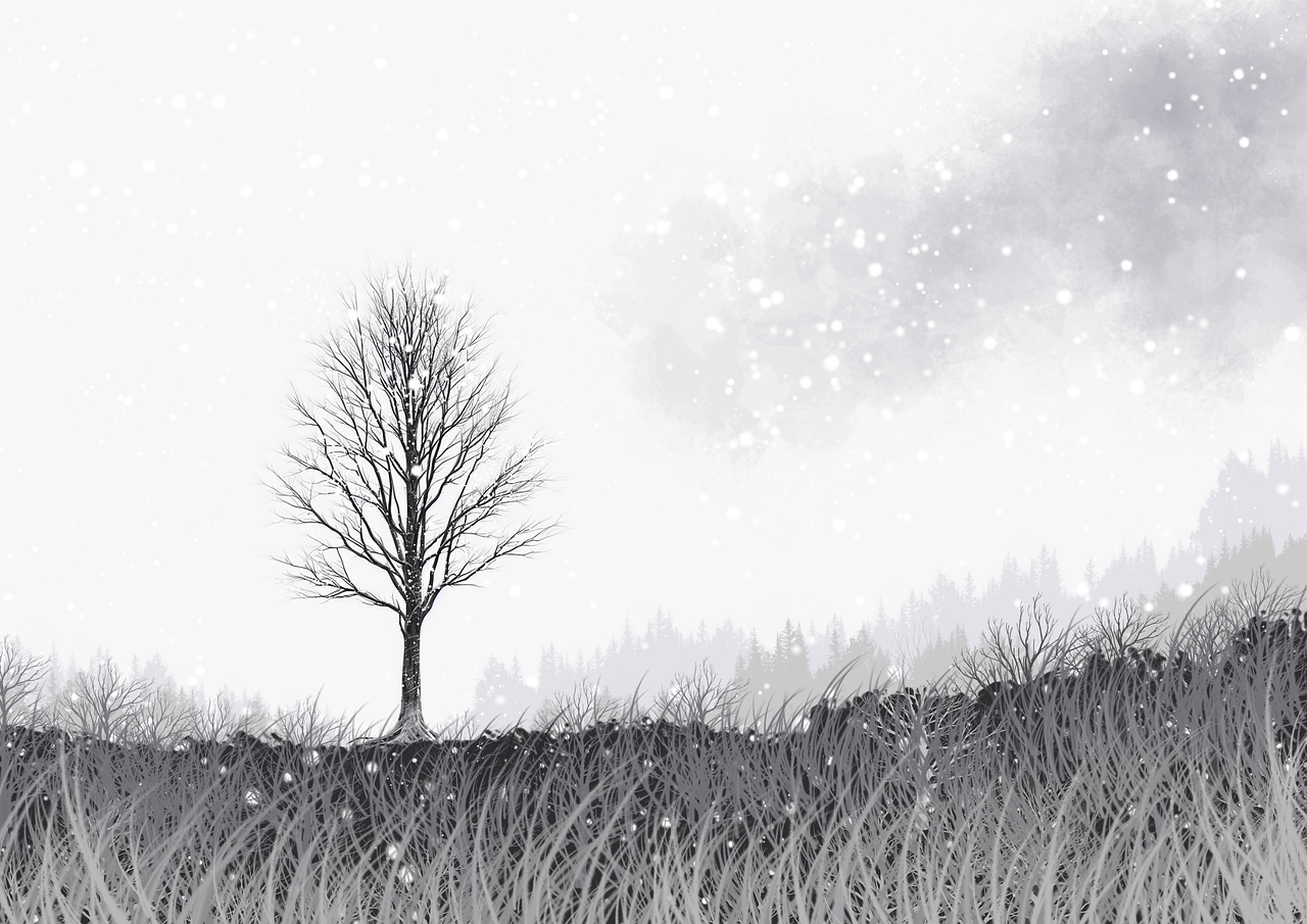 albero, nevicare, ambiente, vegetazione, grigio, inverno, freddo, solitudine, scenico, scenario, panorama, vista, minimalista, sfondo, natura, paesaggio