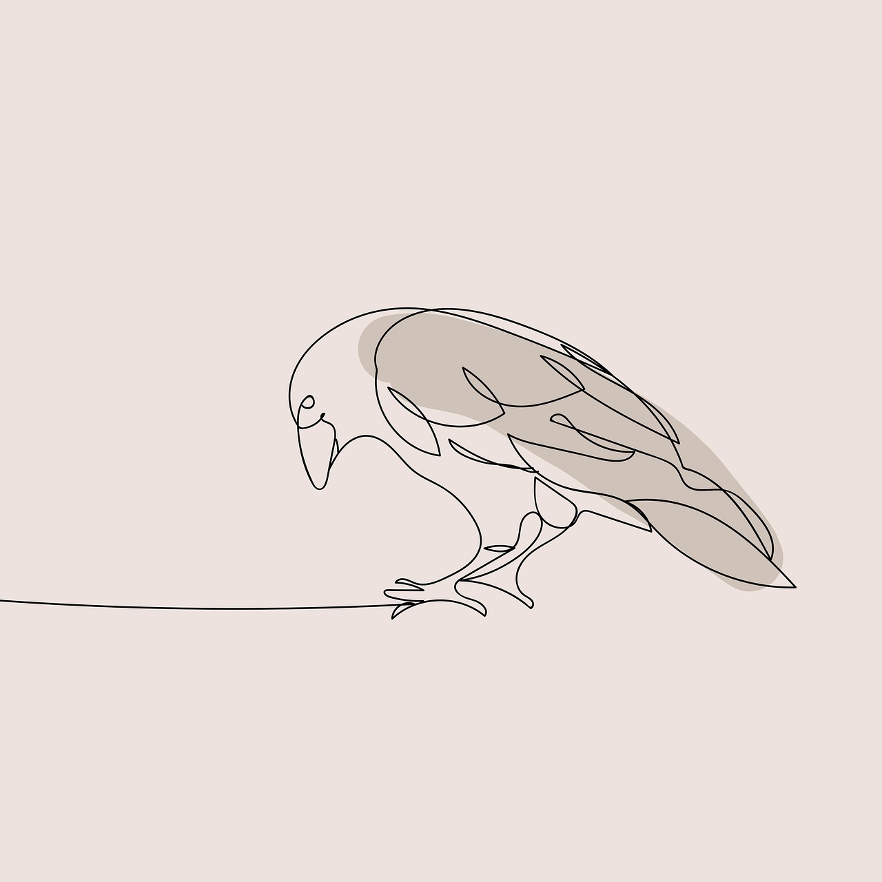 fugl, næb, stregtegning, minimalistisk, baggrund, tegning, dyr, rovfugl, natur, boho, boheme