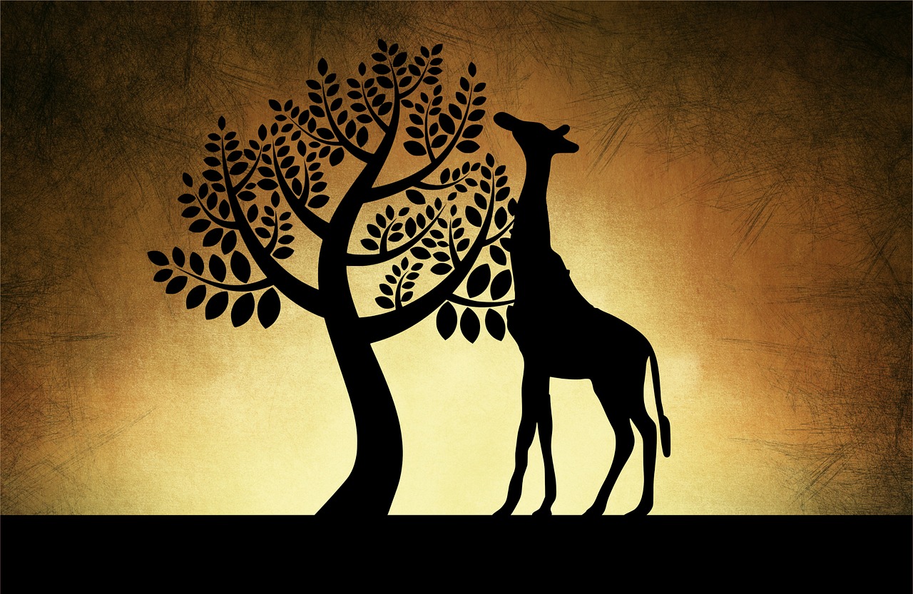 žirafa, silueta, příroda, zvíře, savec, afrika, fauna, býložravec, dlouhým krkem, dlouhonohý, druh, jíst, krajina, strom, západ slunce, umělecký, textura, vzdělávací, cestovat, cestovní ruch, kopírovací prostor