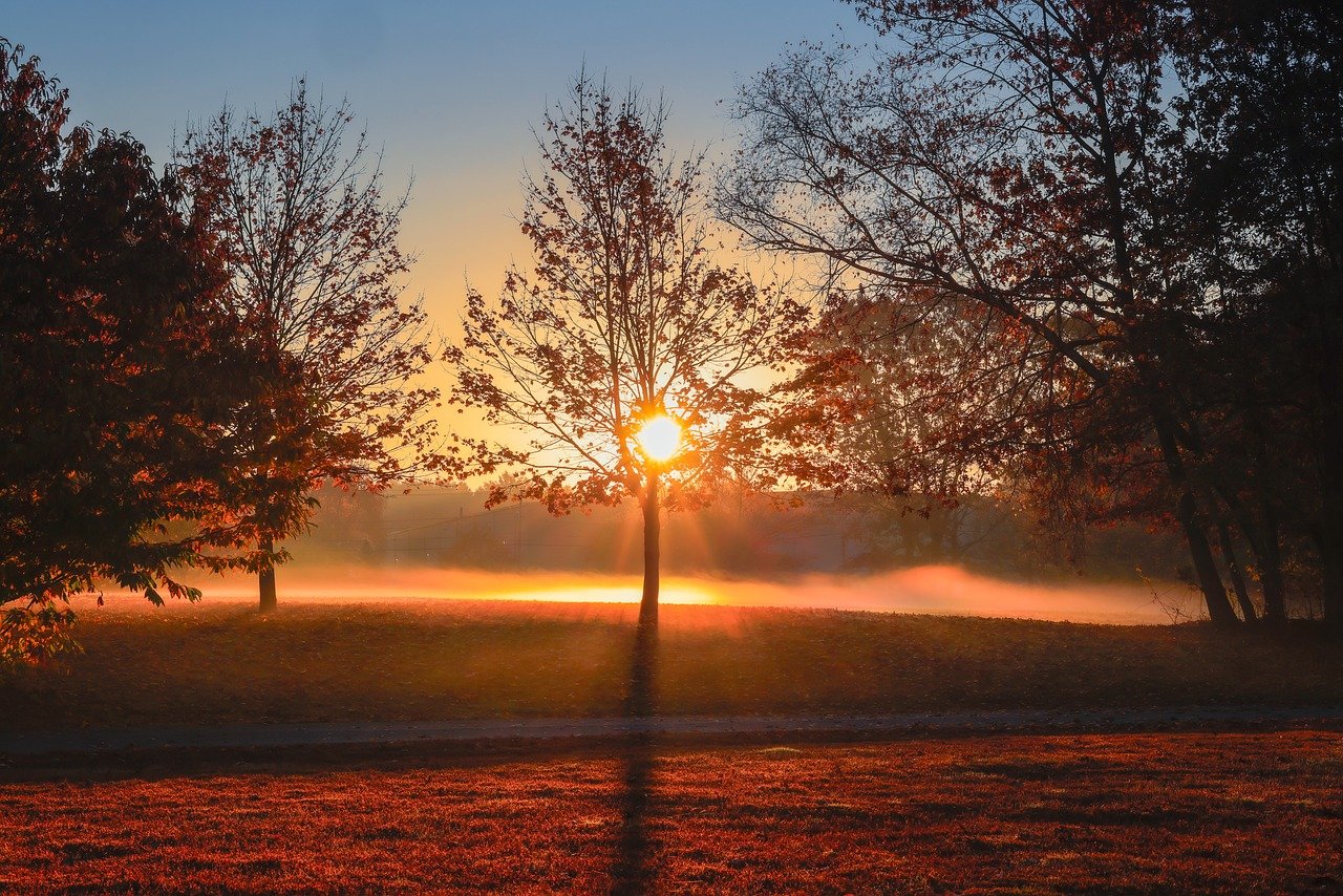 árboles, fondo de pantalla de alta definición completa, fondo de pantalla de alta definición, atardecer, amanecer, hd, fondo de pantalla, fondo de pantalla gratis, fondo de pantalla hd, hermoso fondo de pantalla, hermosa naturaleza, fondo de pantalla 4k 1920x1080, papel pintado del ordenador portátil, fondo de pantalla mac, fondo libre, papel tapiz de windows, naturaleza, papel pintado de la naturaleza, fondos geniales, fondo de pantalla 4k, paisaje, fondo de la naturaleza, fondos de escritorio, otoño