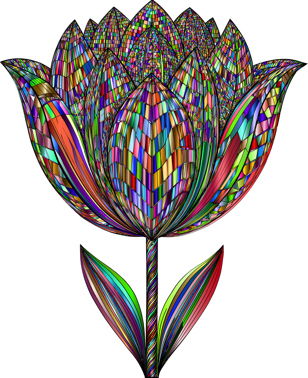 tulipano, bei fiori, fiore, impianto, natura, decorativo, decorazione, ornamentale, sfondo fiore, colorato, prismatico, carta da parati floreale, cromatico, arcobaleno