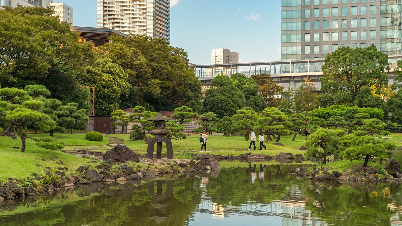 japanilainen puutarha, tokyo, pysäköidä, puutarha, järvi, puita, japanilainen, kulttuuri, luonto, perinteinen, hiljainen, rentoutuminen, japani