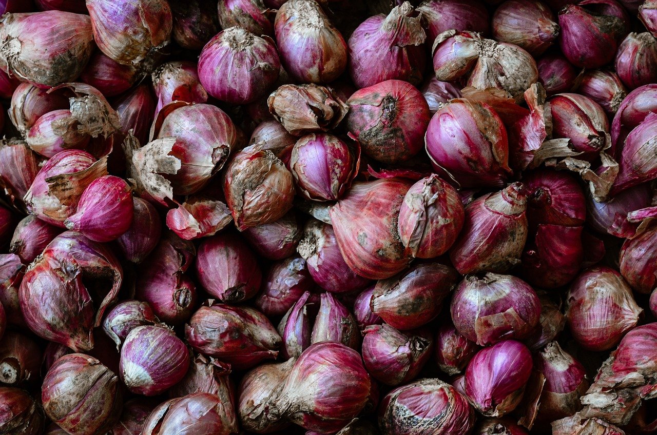 cibule, zdravý, sklizeň, zelenina, organické, čerstvý, vyrobit, šalotka