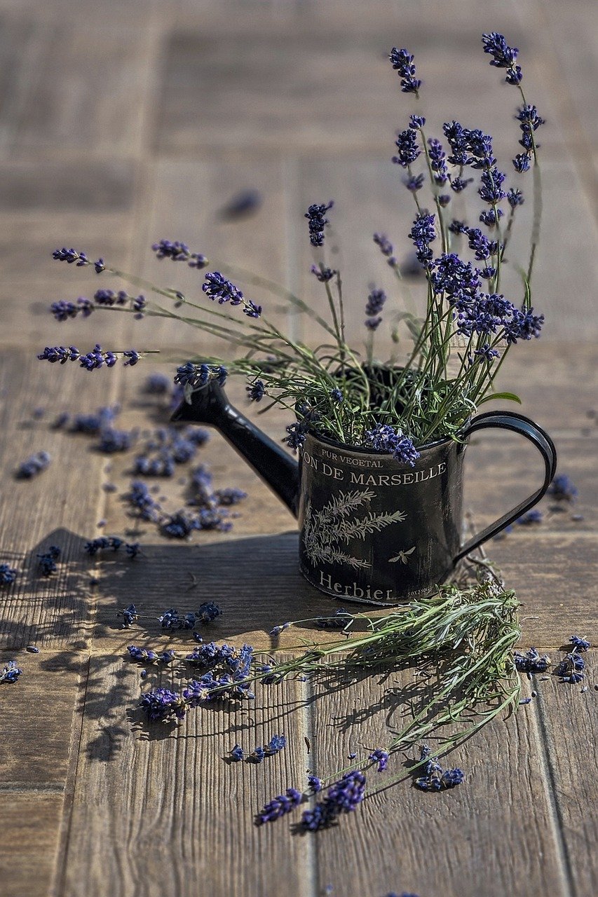 lavender, herbs, rustic, vintage, provence, bouquet, watering can, flowers, botanical, aroma, wooden floor, french style, dried flowers, natural, garden decor, purple, romantic, aromatic plant, shabby chic, herbal, country style, home decor, nature, fresh, summer