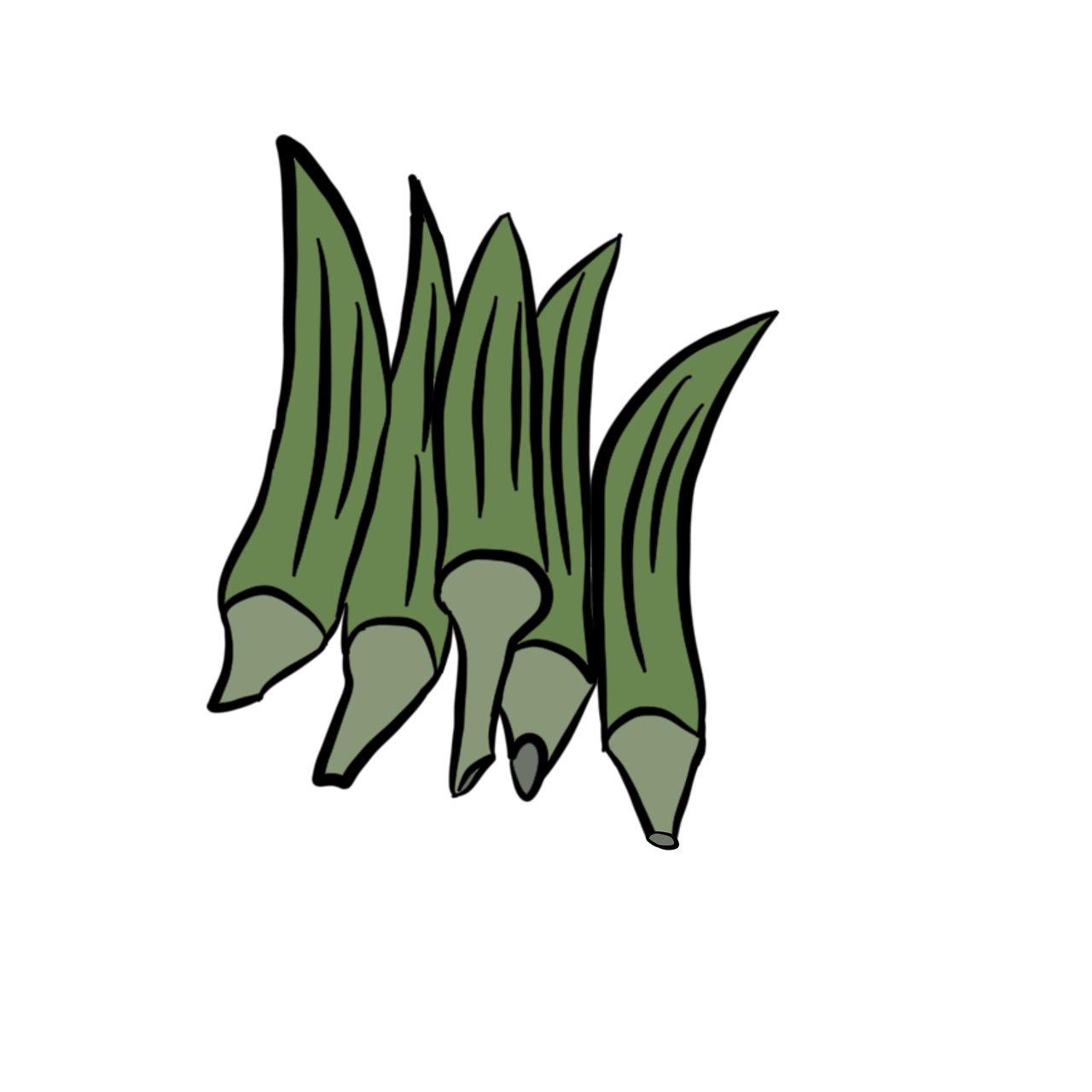 damefinger, grøntsag, sund og rask, fødevarer, afgrøde, landbrug, landskab, plante, natur, grøn