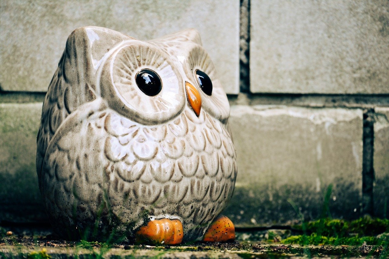 owl, figure, ceramic, bird, animal, cute