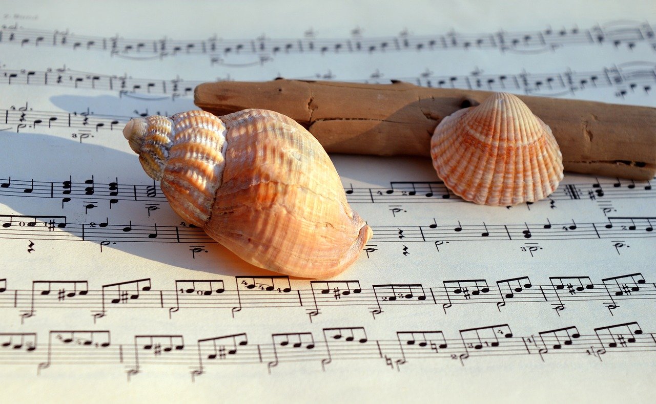 the sound of the sea, sea shanties, music, sheet music, songs, concert, to sing, choir, make music, teacher gradebook, grades, notenblatt, shellfish, shanty, shanty choir, melody, hd background, seafaring sounds, sounds