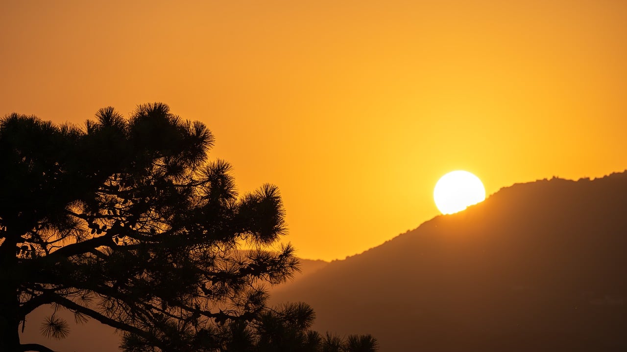 sunrise, dawn, sun, red, orange, yellow, tomorrow, morning mood, jaw, pine, mountains, tree, romantic, corsica, morning light, daybreak, nature, landscape