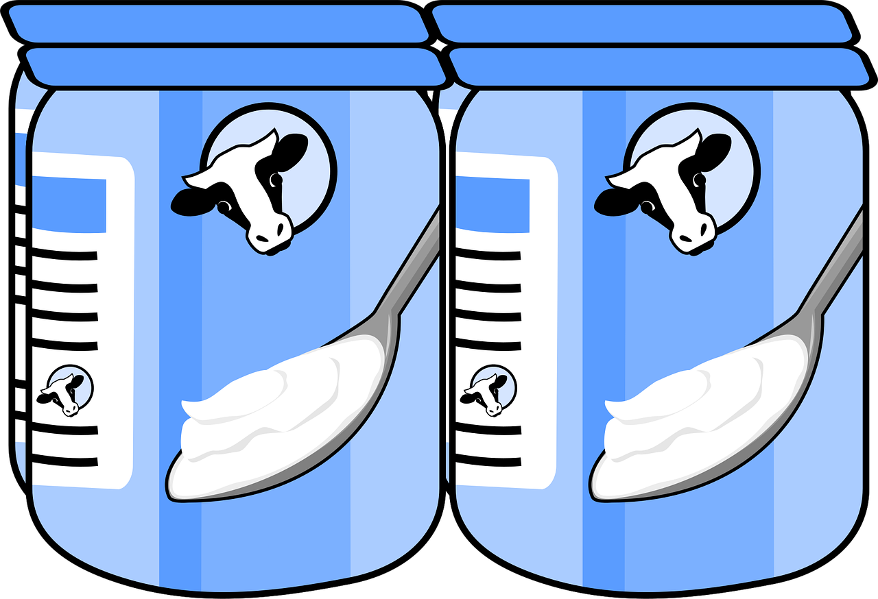 yogurt, dairy, snack, desert, portion, dairy product, yogurt container, container, healthy, food, edibles, foodstuffs, aliments, eats, cow, individual, nutrition