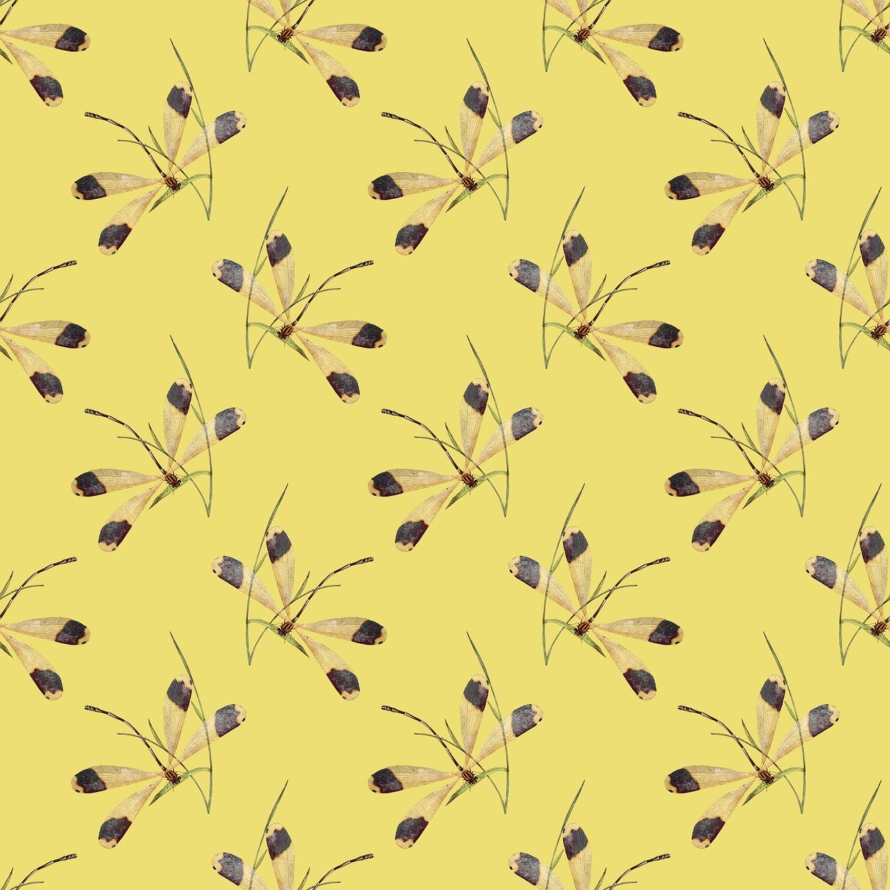 dragonfly, insect, nature, wings, entomology, fauna, animal, wildlife, dragon-fly, pattern, texture, paper, background, scrapbooking, template, yellow, gift wrap