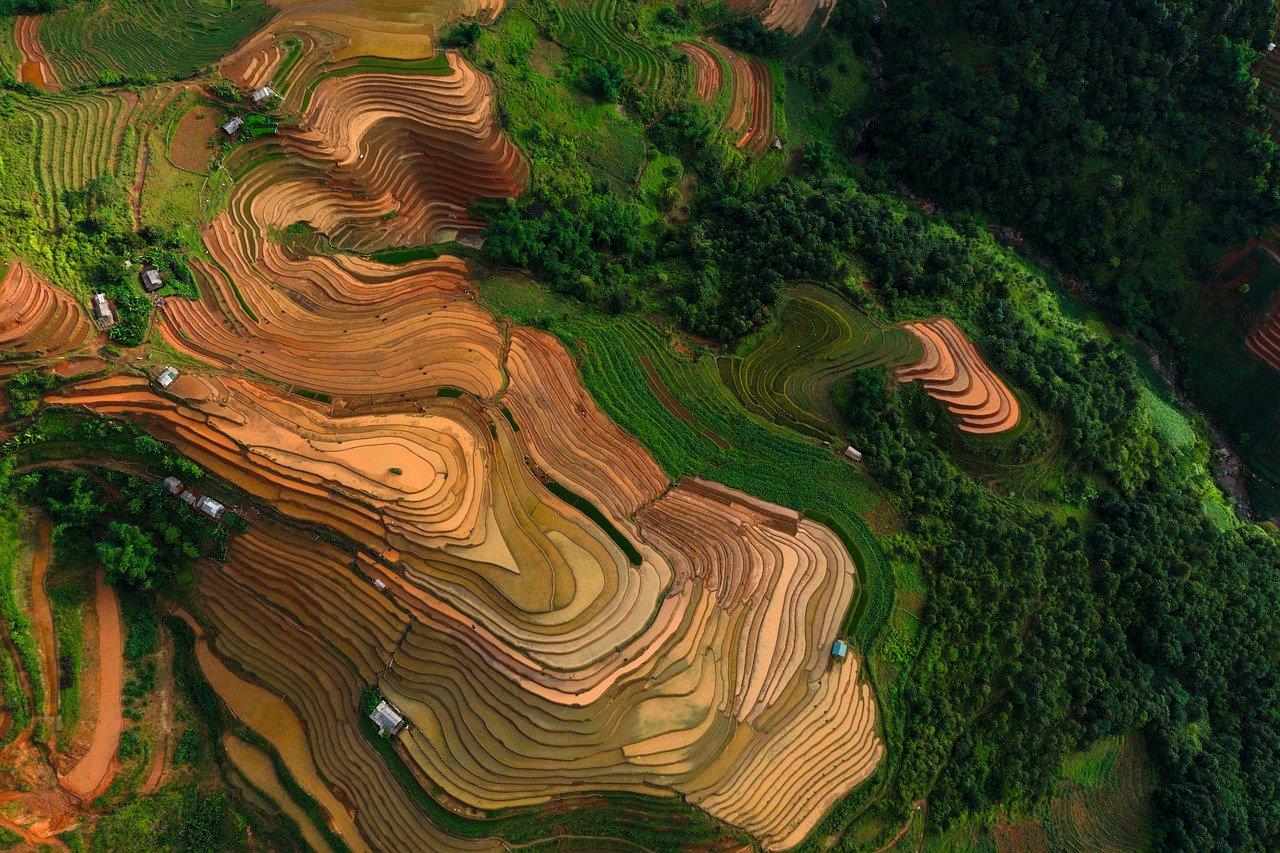 vietnam, soil, country, terraces, mountains, home, tree, view, nature