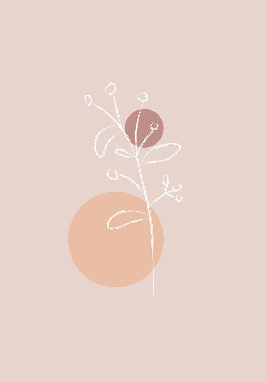 botanique, minimaliste, dessin, fond, bohème, bohémien, feuille, branche, nature