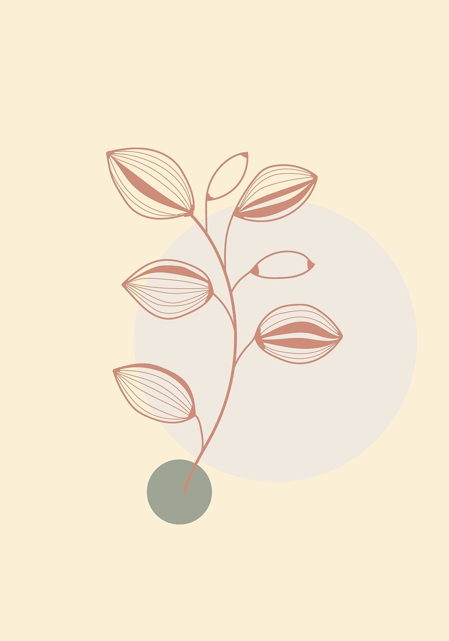 botanique, plante, feuille, nature, dessin, fond floral, fond, bohème, bohémien, des graines