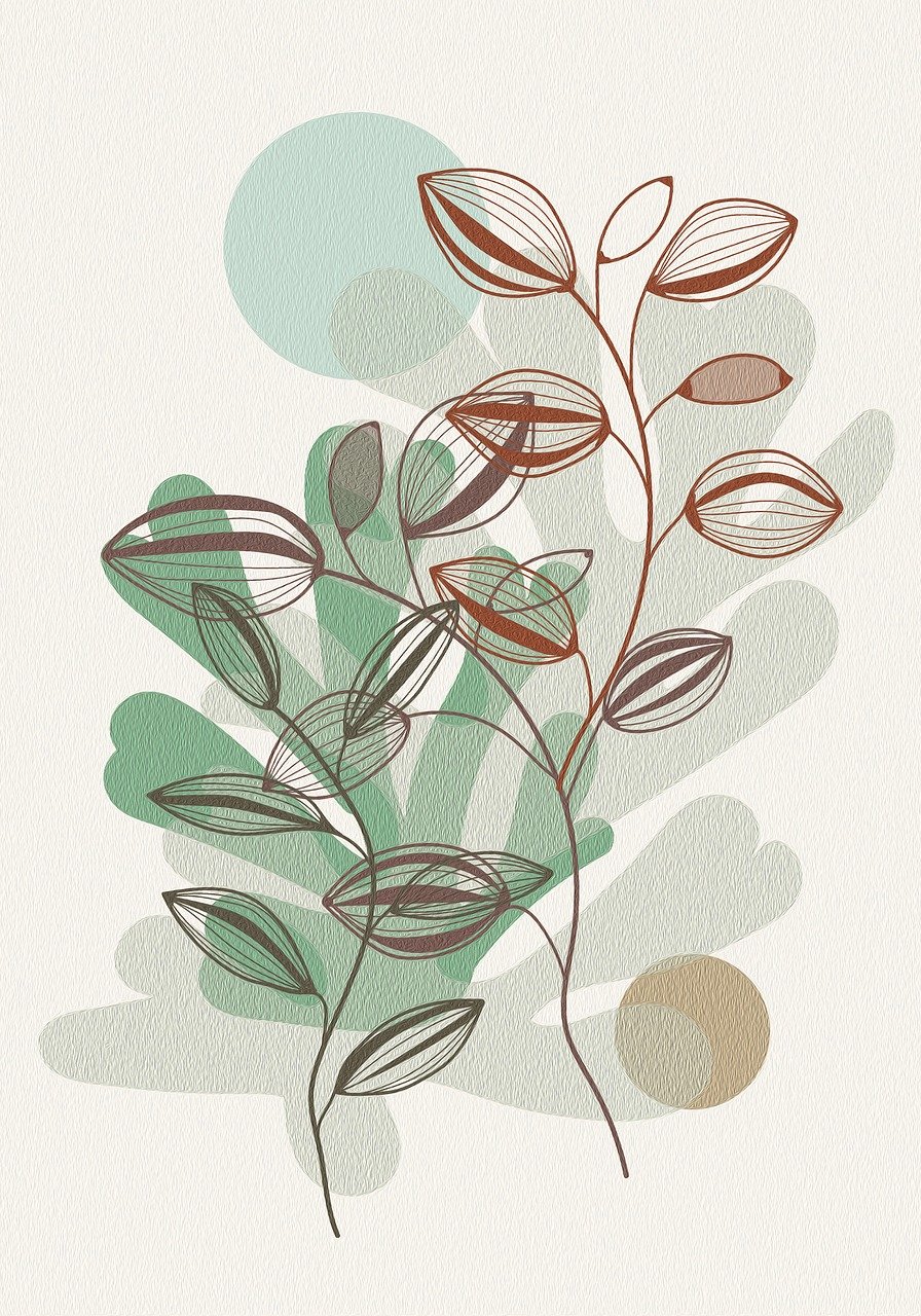 drawing, background, boho, bohemian, botanical, nature, plants, vegetable, leaves, seeds