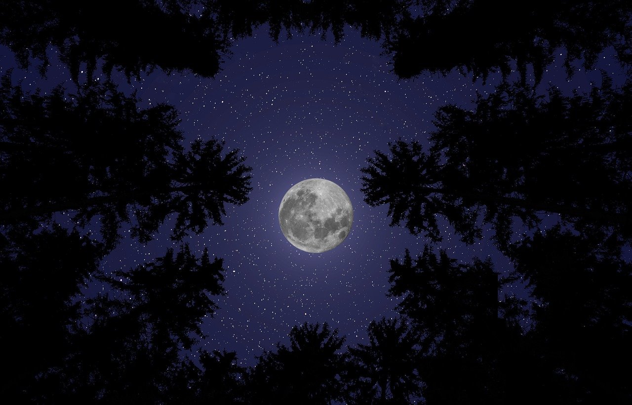 moon, night, moonlight, sky, lunar, luna, heaven, nature, space, stars, dark, forest, trees, woods, woodlands, perspective, view, scenic, calm, relaxing, wallpaper, greeting card, copy space