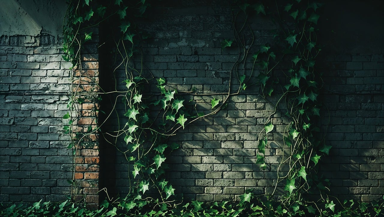 ai generated, ivy, brick wall, overgrown, alley, urban, nature, green, leaves, climbing, texture, old, weathered, mysterious, dark, spooky, abandoned, growth, pattern, foliage, creeping