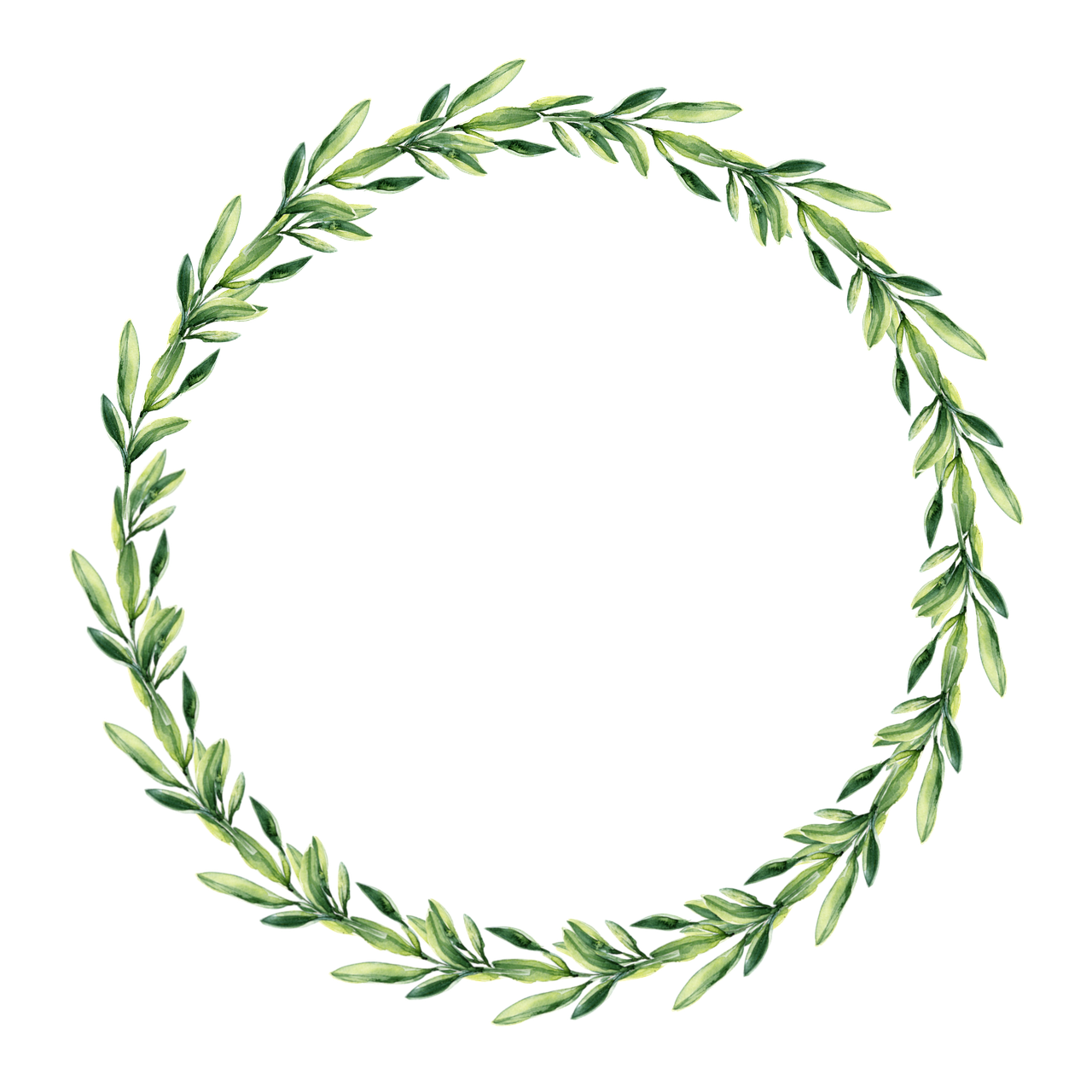 frame, outline, border, window, greenery, nature, foliage, flora, plants, leaves, circle, shape, round, pattern, template, copy space, scrapbooking