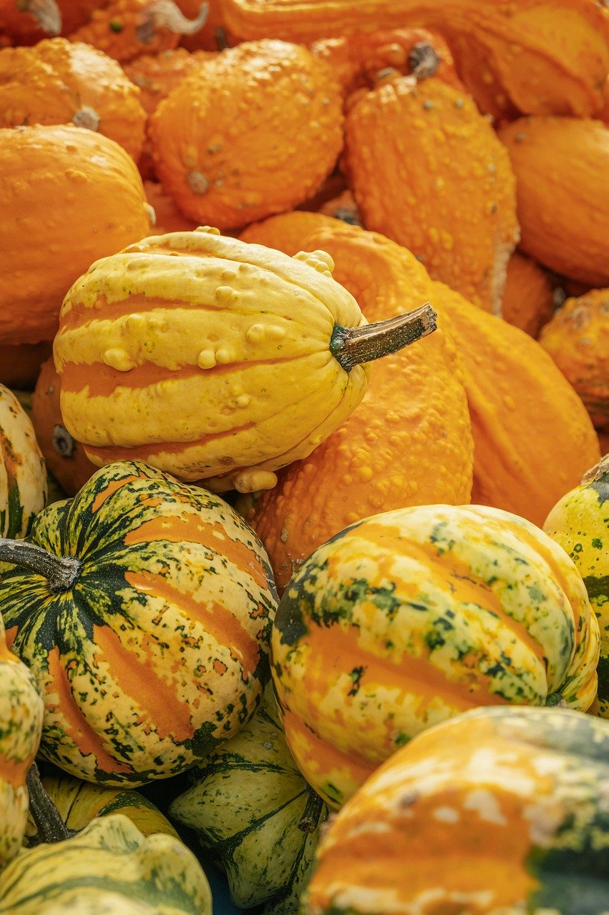 gourd, pumpkin, fall, autumn decoration, farmers market, thanksgiving, harvest, autumn motives, vegetables, orange, ornamental gourds