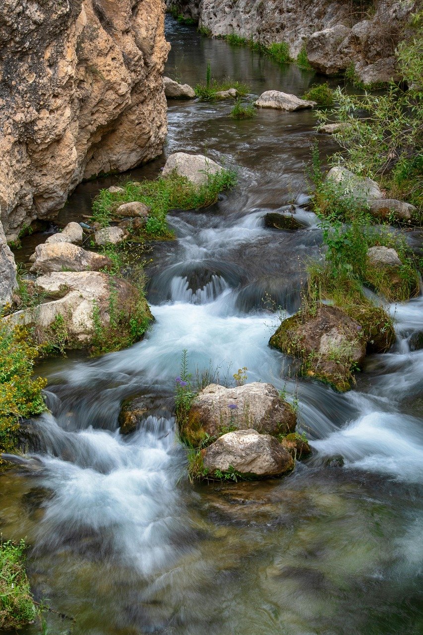 landscape, river, brook, water, stones, nature, vegetation