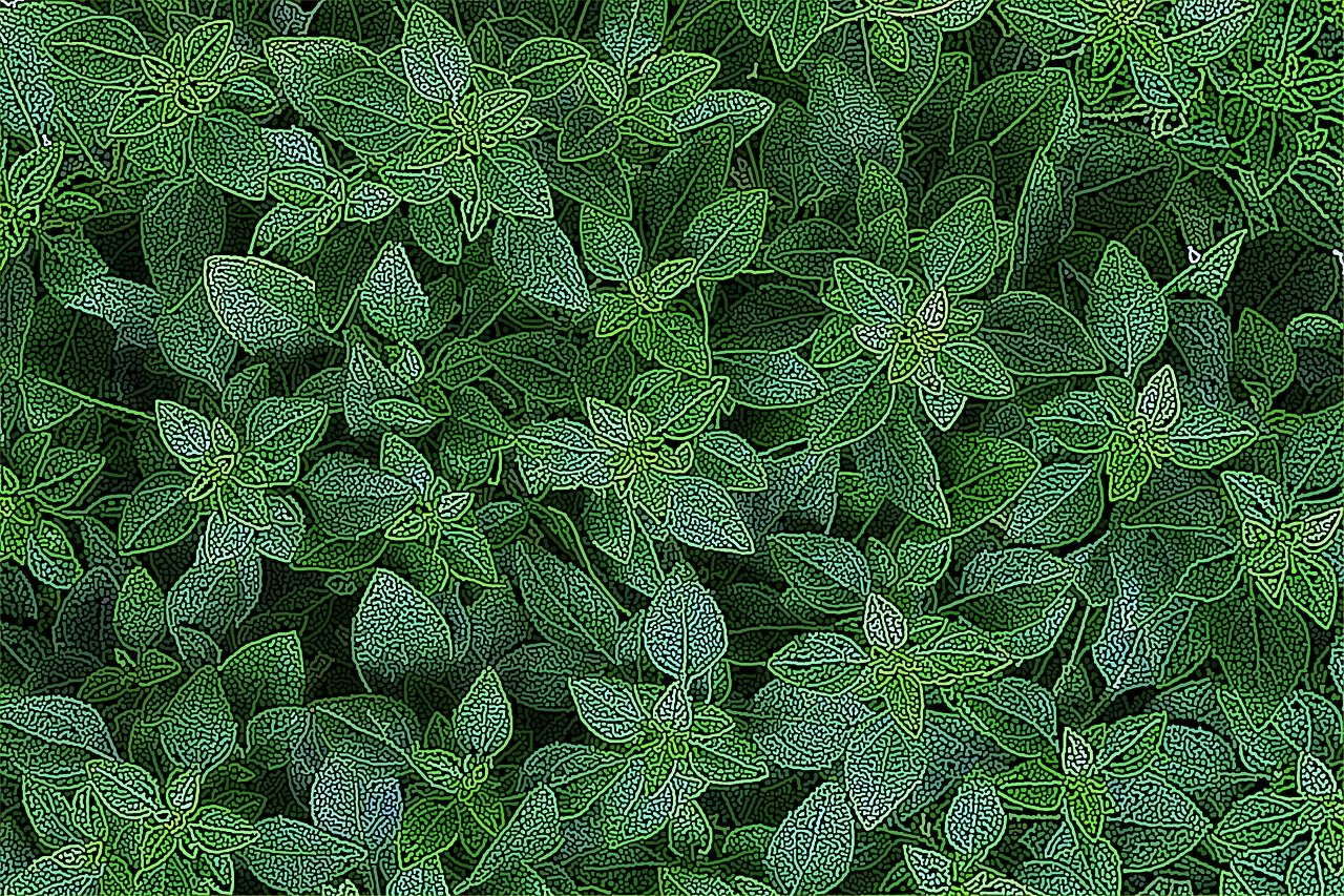 ivy, plant, nature, flora, green, creeper, growth, leaves, garden, thicket, foliage, spring, summer, mosaic, pattern, texture, artistic