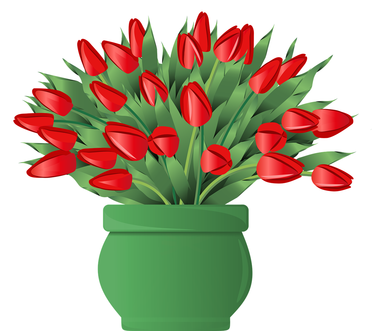 tulips, nature, garden, spring, bloom, blossom, flowers, flora, petals, plants, colorful, bouquet, arrangement, vase, potter, pot, red, green, cutout