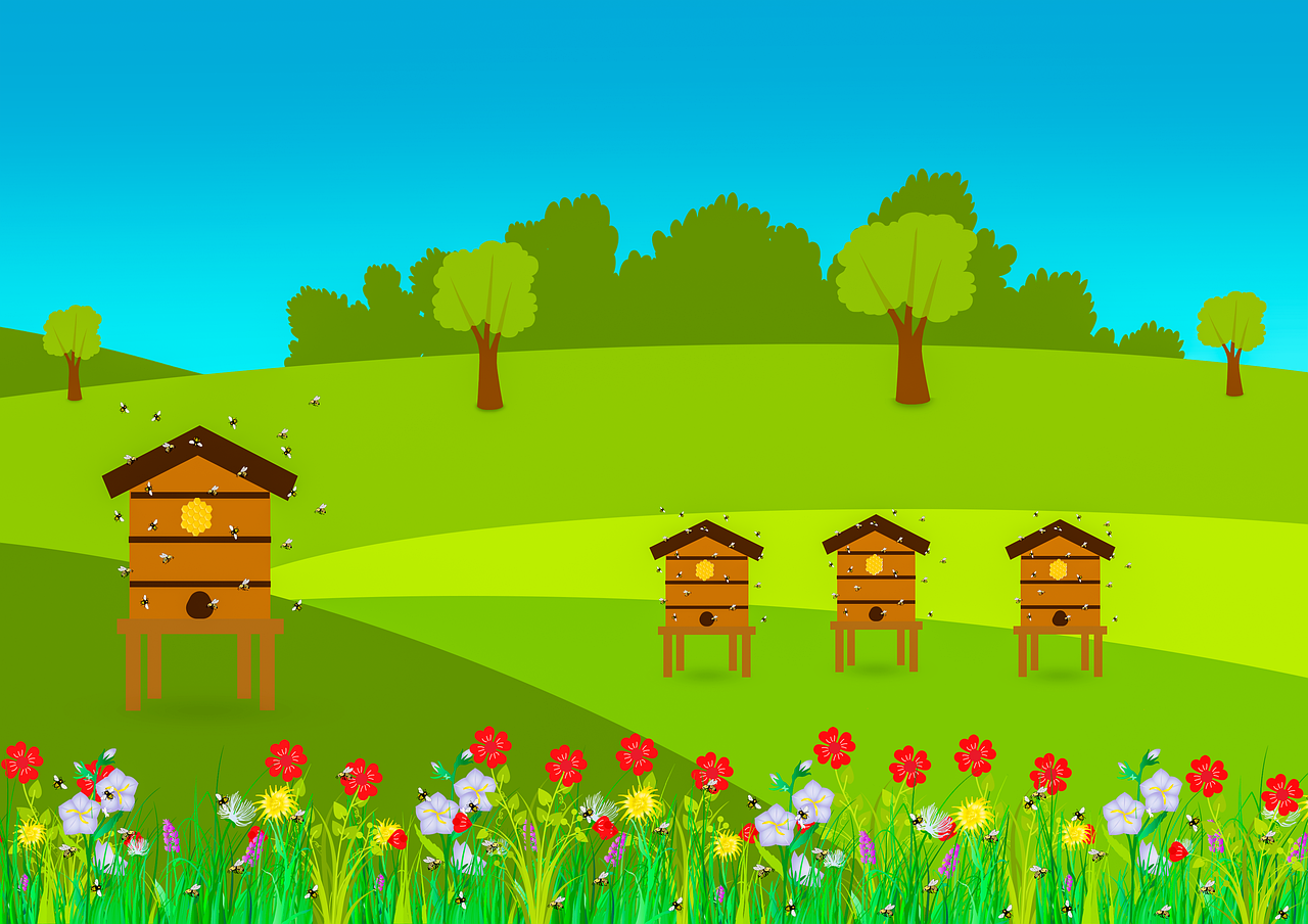 hives, bees, pollination, beehive, flower, bumblebee, pollinate, nature, drawing, design