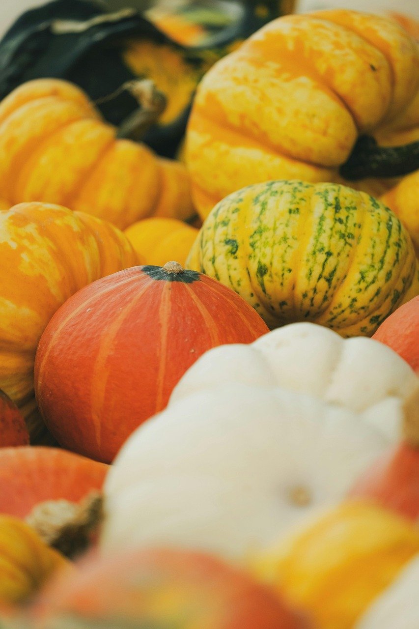ornamental gourds, fall, decoration, autumn vegetables, harvest, thanksgiving, autumn decoration, pumpkins, multicoloured